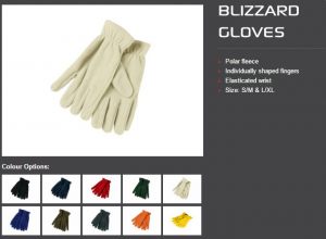 Blizzard Gloves